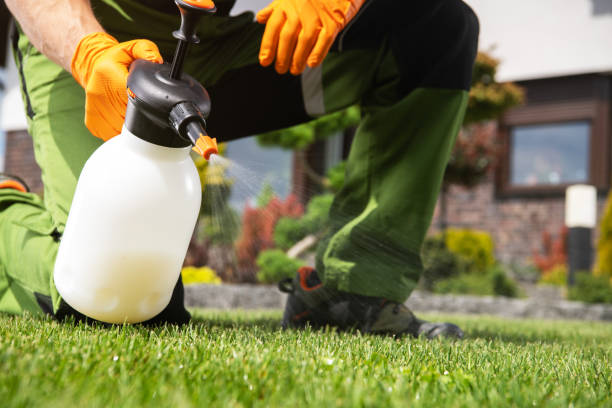 Best Wildlife Control Services  in Aptos Hills Larkin Valley, CA
