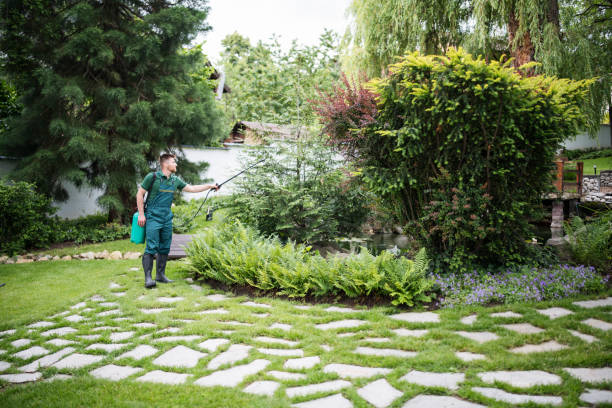Best Pest Prevention Services  in Aptos Hills Larkin Valley, CA
