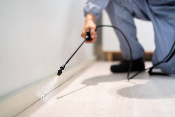 Best Flea Control Services  in Aptos Hills Larkin Valley, CA