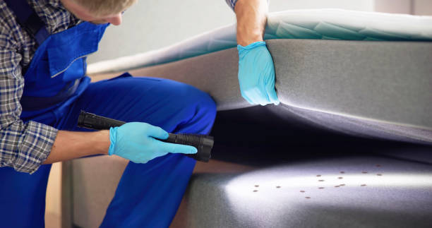 Best Bed Bug Extermination  in Aptos Hills Larkin Valley, CA