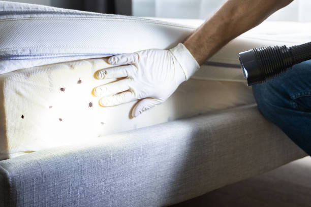 Best Best Pest Control Companies  in Aptos Hills Larkin Valley, CA